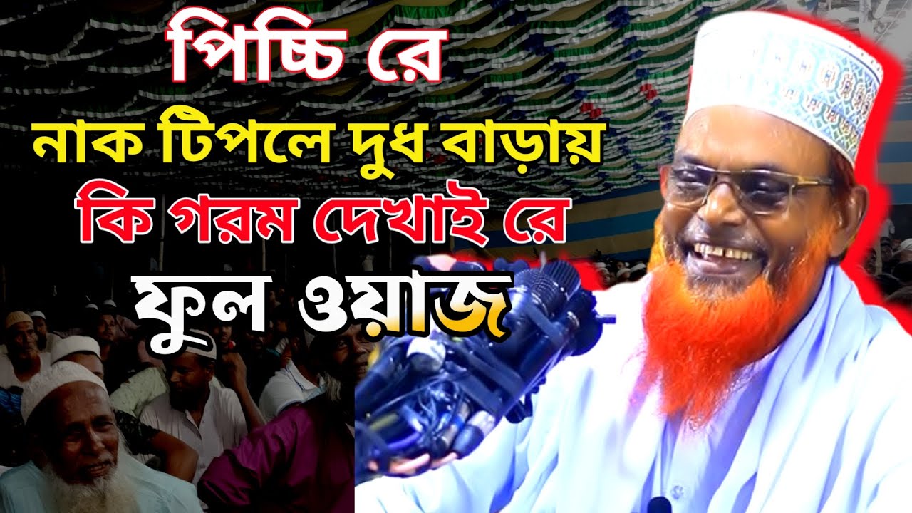 পিচ্চি রে নাক টিপলে দু*ধ বাড়ায় ফুল ওয়াজ । Ruhul Amin Juktibadi । Full Waz 2024