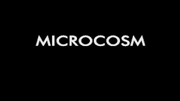 Microcosm (マイクロコズム). [SEGA Mega CD - Psygnosis, Victor Entertainment]. (1994). Full Play.
