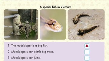 I learn smart start level 4 - Theme 2 - Lesson 5