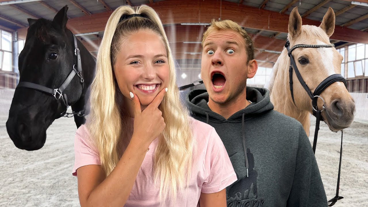 PFERDETAUSCH mit MATTHES