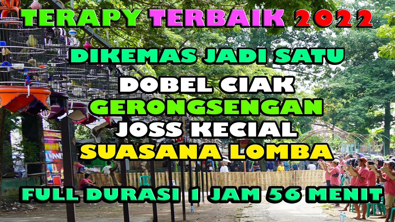 TERAPI PALING JITU UNTUK KECIAL KUNING||AUDIO GERONGSENG||AUDIO CIAK||SIMULASI LOMBA KECIAL