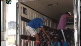 DVB - No comment 20142002