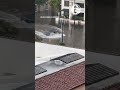Tesla plows through flooded San Diego street image