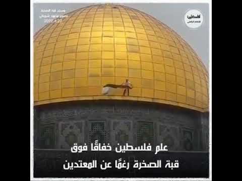 تحن الروح للأوطان