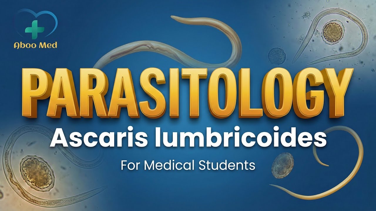Ascaris lumbricoides Aboo Med Parasitology L1 Maisan 3Y