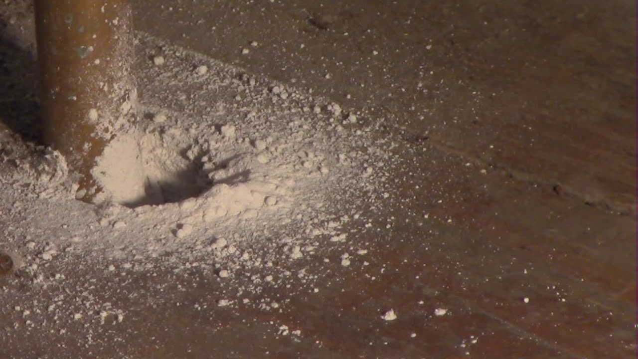 Wasps nest under floorboards, pest control YouTube