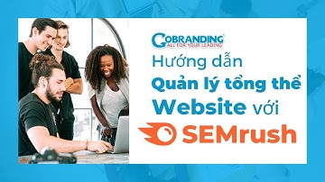 Hướng dẫn quản lý tổng thể Website với SEMrush | SEMrush | MarTech Vietnam