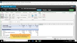 MindTap - Cengage Excel EX9212 How to hide worksheet gridlines