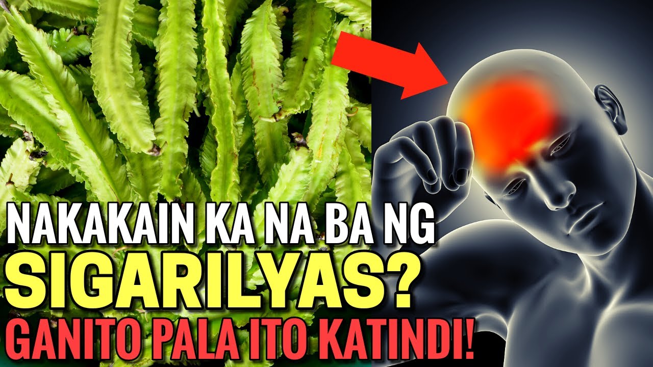 Baka nakakain ka na ng SIGARILYAS o WINGED BEANS? Ganito pala KATINDI ang EPEKTO nito sa kalusugan!