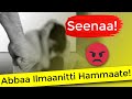 Seenaa kariimaan barreessite  seenaa ajaaibaa