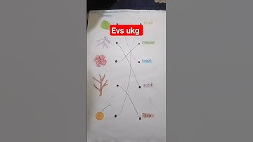 #ukg #evs #youtubeshorts #shorts#viral #ytshort #shortvideo
