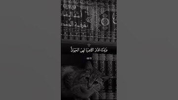 ﴿ وَمَا هَٰذِهِ الْحَيَاةُ الدُّنْيَا إِلَّا لَهْوٌ وَلَعِبٌ ﴾🩶✨ #تلاوة_خاشعة #عبدالرحمن_مسعد