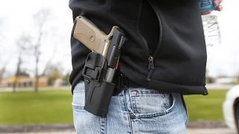 NRA spokesperson Dana Loesch on New Hampshires con...