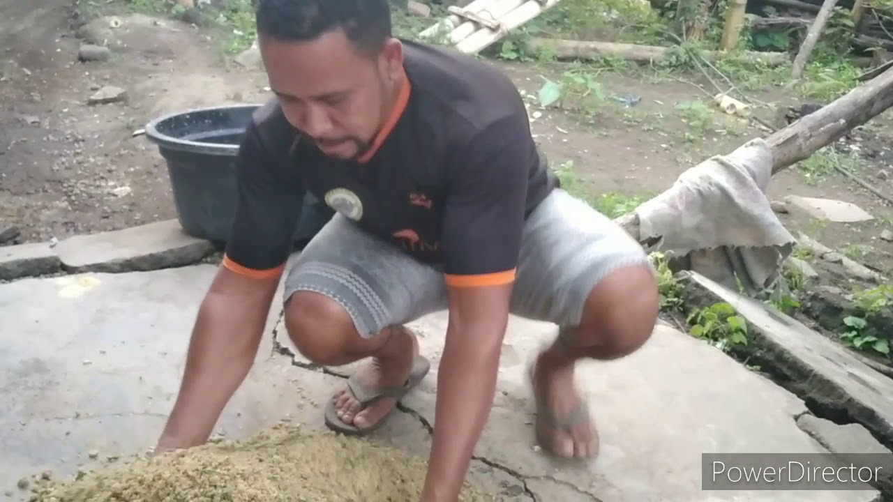 Pakan Lokal #Ternak Babi# Part 2 