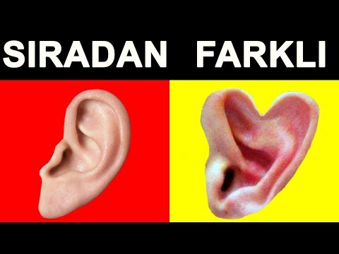 Video: Kulaklarını Kıpırdatmayı öğrenmek Nasıl