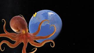 OMG!_I_found_Giant_Octopus_🐙_on_Google_Earth_🌎_and_Google_Maps_#googleearth_#googlemaps_#octopus(0)