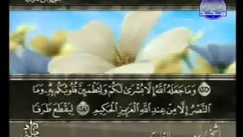 سورة آل عمران من الآية  117  الى الآية 135
