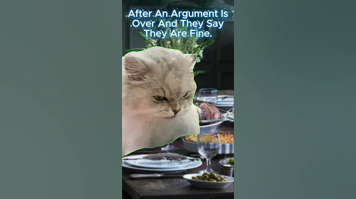 When You Know They Are Pissed But Say They Are Fine. #Angry #ImFine #Funny #Humor #Shorts #Cat