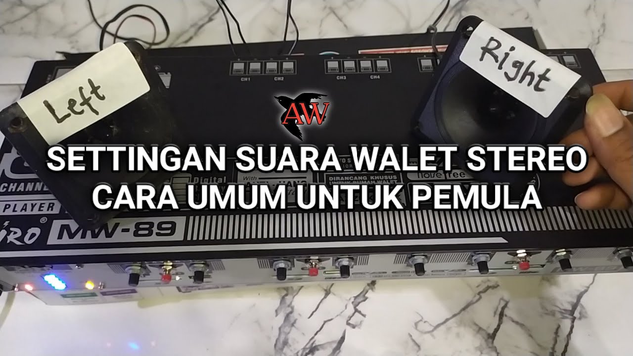 SETTINGAN SUARA WALET STEREO SECARA UMUM