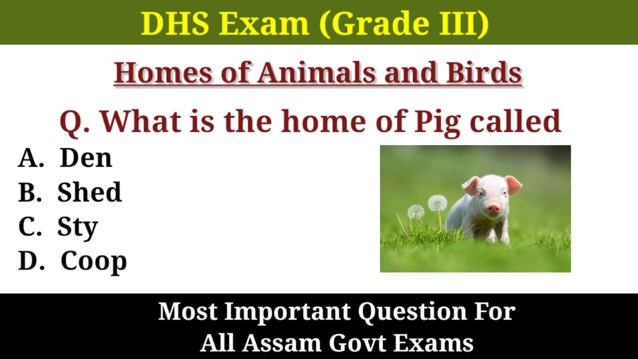 Homes of Birds & Animals || Most Important Questions for DHS grade III Exam