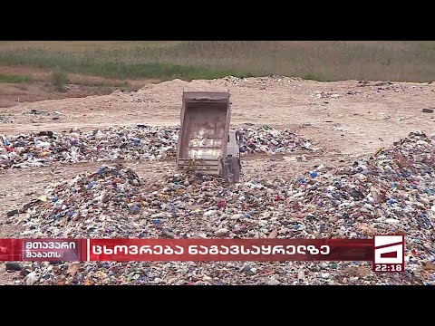 ცხოვრება ნაგავსაყრელზე | განადგურებული გარემო და ჯოჯოხეთური პირობები სამგორში