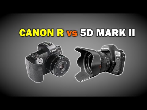 Vídeo: Diferencia Entre Nikon D4 Y Canon EOS 5D Mark II