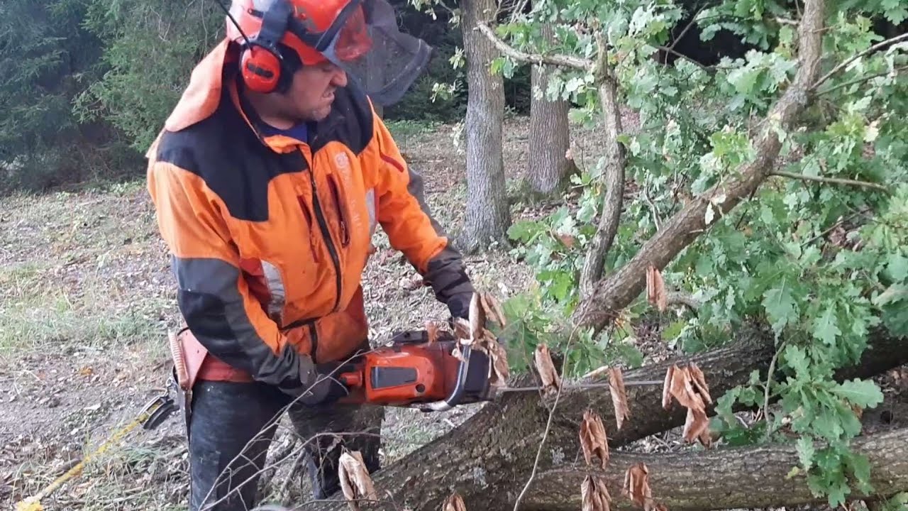 This is my best Husqvarna 560 XP chain saw #gardenandforest