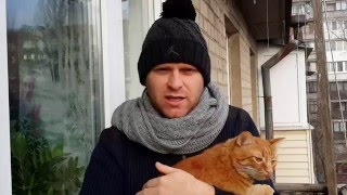 Беги, КРОЛИК , беги !!!! ДИНО ВЫРОС Беги, КРОЛИК , беги !!!! ДИНО ВЫРОС