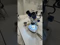Microscope