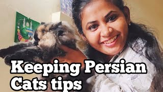 How to care for Persian Cats | Care tips and tricks in tamil | Bathroom tour to Bedroom