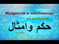 Мудрости и пословицы на арабском языке