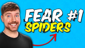 How To Make Mrbeast Spider Text Effect in Premiere Pro