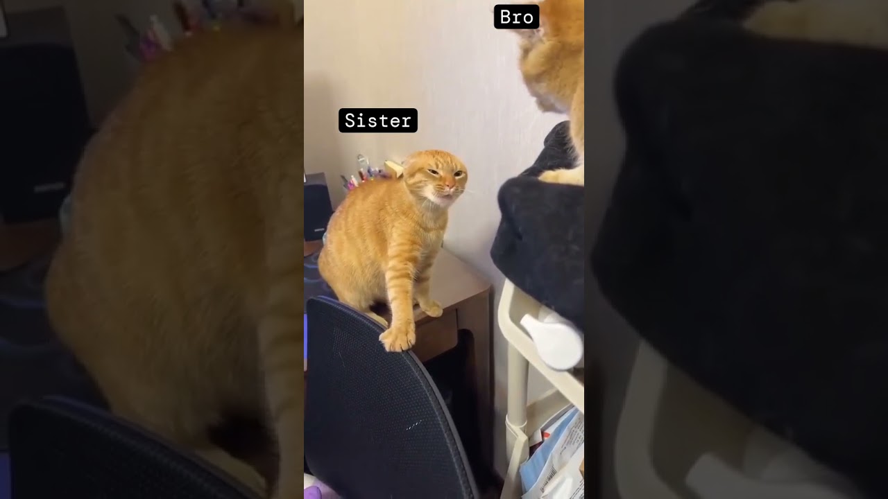 brother and sister serious talking 