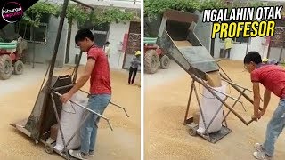 Kelewat Cerdas! 10 Alat Pertanian Kreatif Sederhana Buatan Sendiri Yang Sangat Membantu Petani