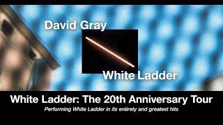 David Gray - \\