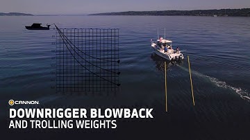 Downrigger Weight Size When Experiencing Blowback