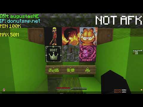 DonutSMP 🍩 | Gambling-Rating bases 🔴 | Live Donutsmp.net