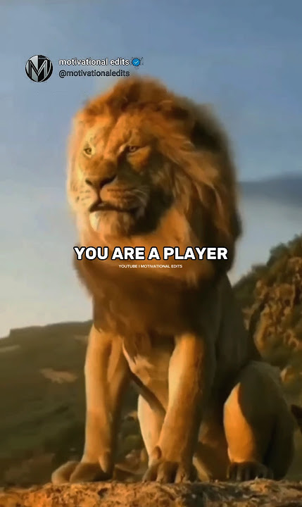 Sigma rule~😈🔥| Motivational quotes 😎| Lion king #motivation #trending #shorts