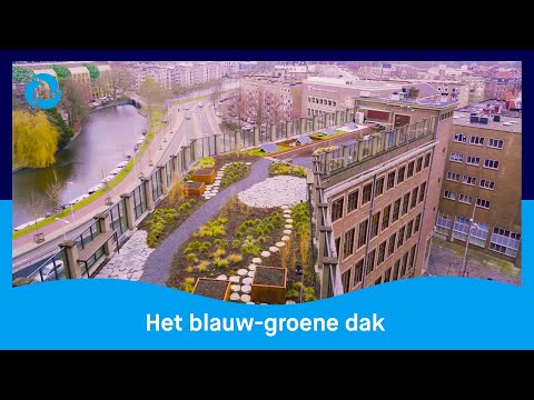 Video: Terrassen In Het Landschapsontwerp Van De Stad. Zon, Lucht En Water Voor Iedereen