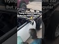 The struggle of loving cars! #fyp #lsswap #drift #driftbuild #240sx