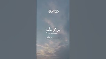 سورة النحل.