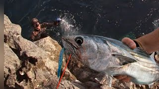 SHORE JIGGING TENERIFE - mira lo que me pasó 🤦‍♂️