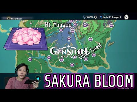 Video: Di mana untuk mendapatkan bunga sakura?