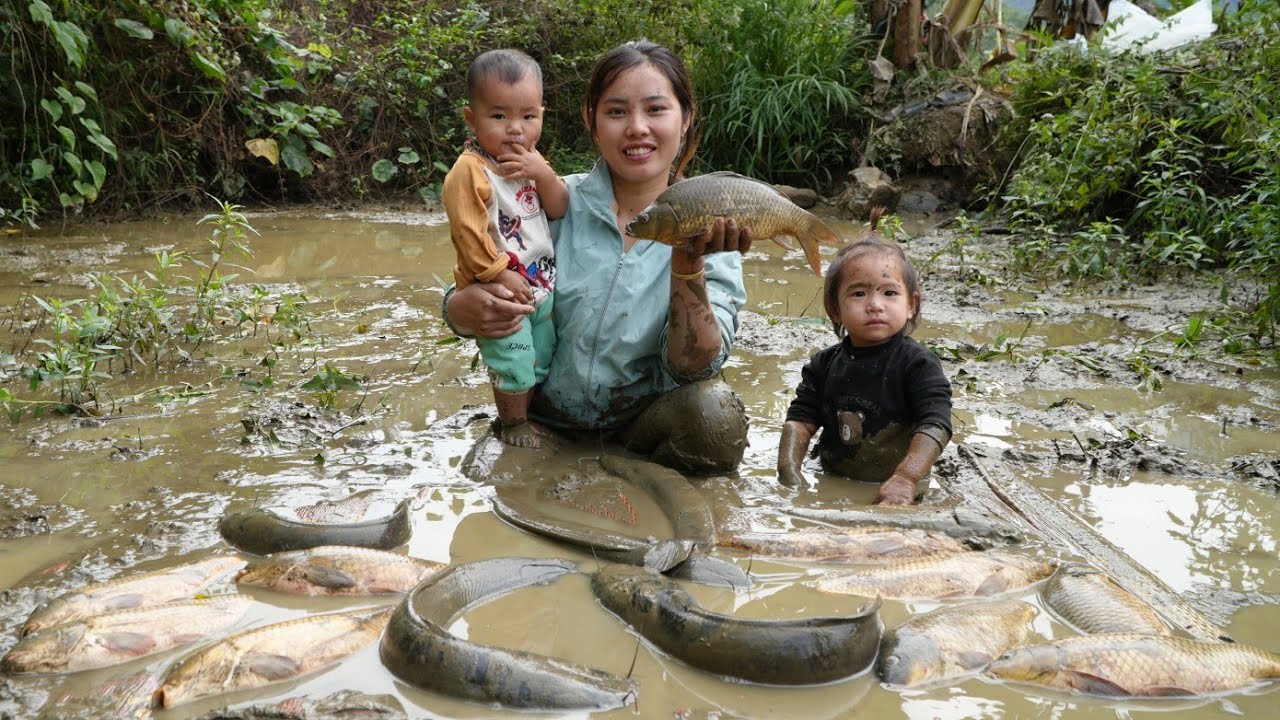 Work with your children to harvest abandoned fish ponds full of giant fish to sell at the market