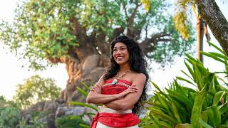 Moana Background Area Music Animal Kingdom