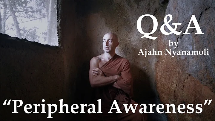 Q&A - PERIPHERAL AWARENESS - by Ajahn Nyanamoli Thero, Hillside Hermitage, Sri Lanka - DayDayNews