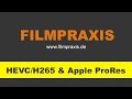 Videos in HEVC/H265 oder Apple ProRes ausgeben - ProDrenalin