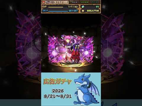 [パズドラ]  広告ガチャ　2026/8/21〜8/31