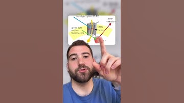 RESTORING VISION FOR THE BLIND!! pt 1