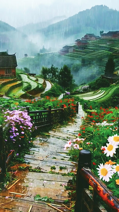 Rural atmosphere, sound of rain soothes the heart and mind #short#nature#rainsound#viralshort